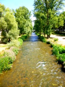 Burgos - Río Arlanzón 12