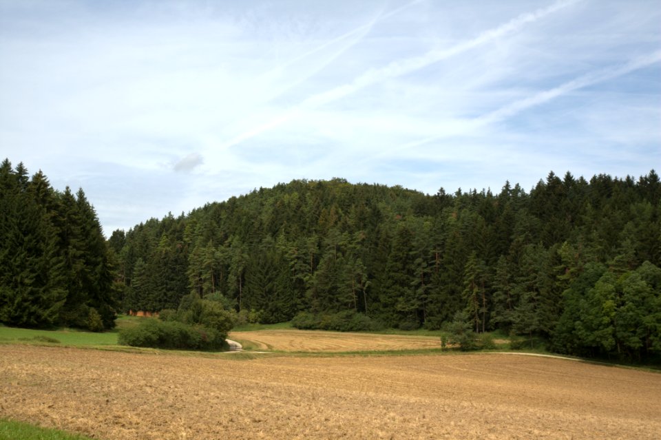 Burgstall Im Alten Haus03
