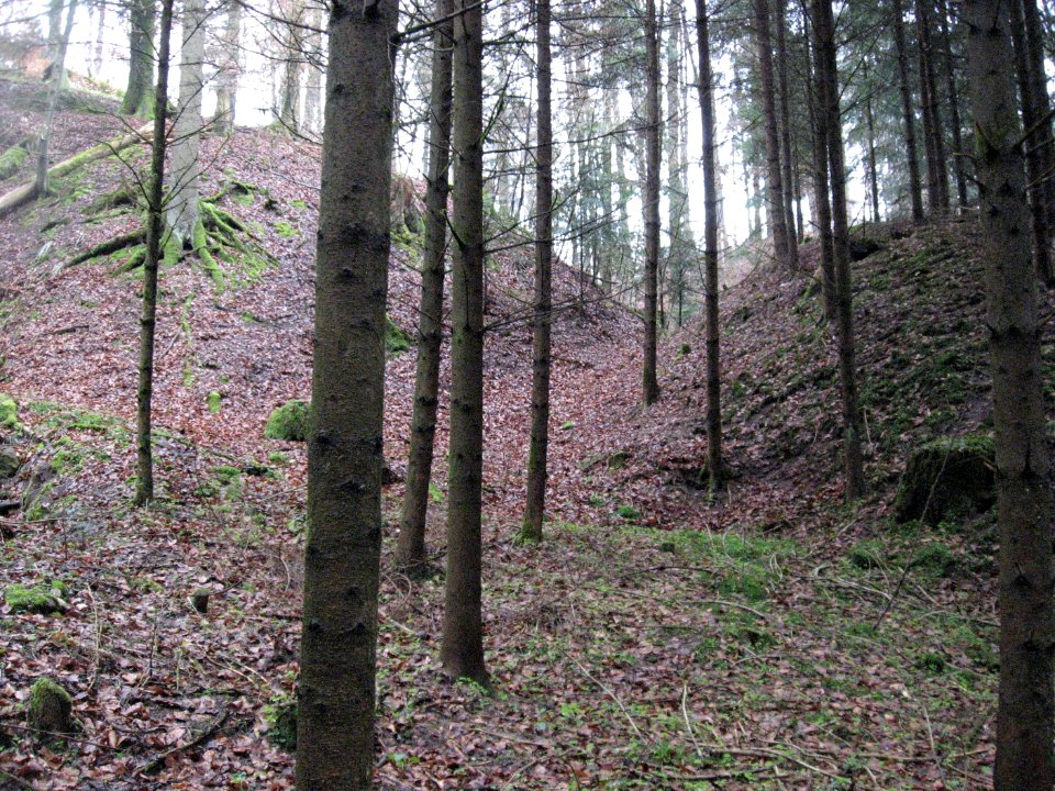 Burgstall Holenstein, Hintere Scharte, Blick nach W