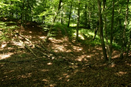 Burgstall Flüglingen02