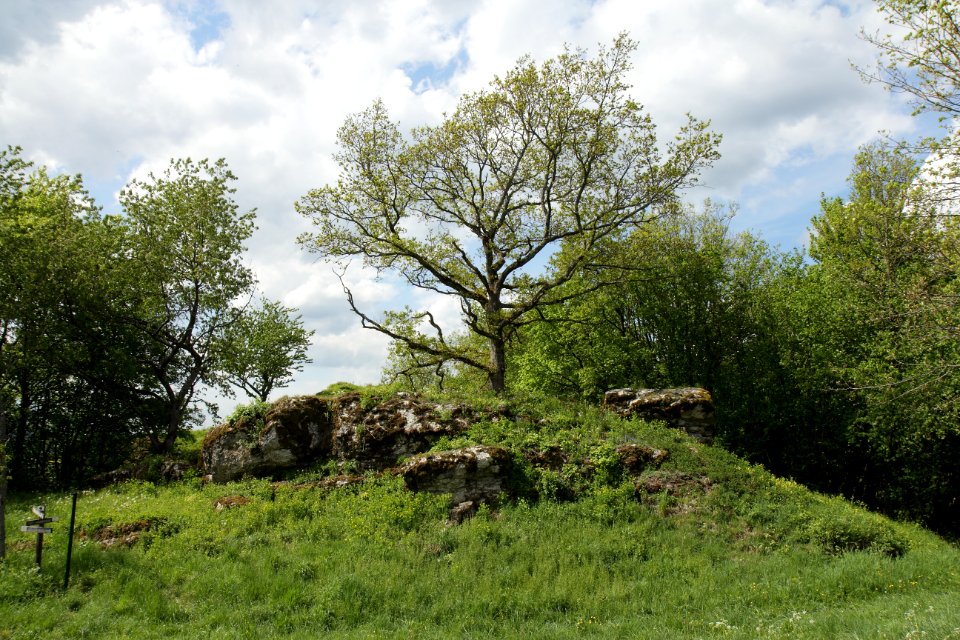 Burgstall Plankenstein(Oberfranken)06