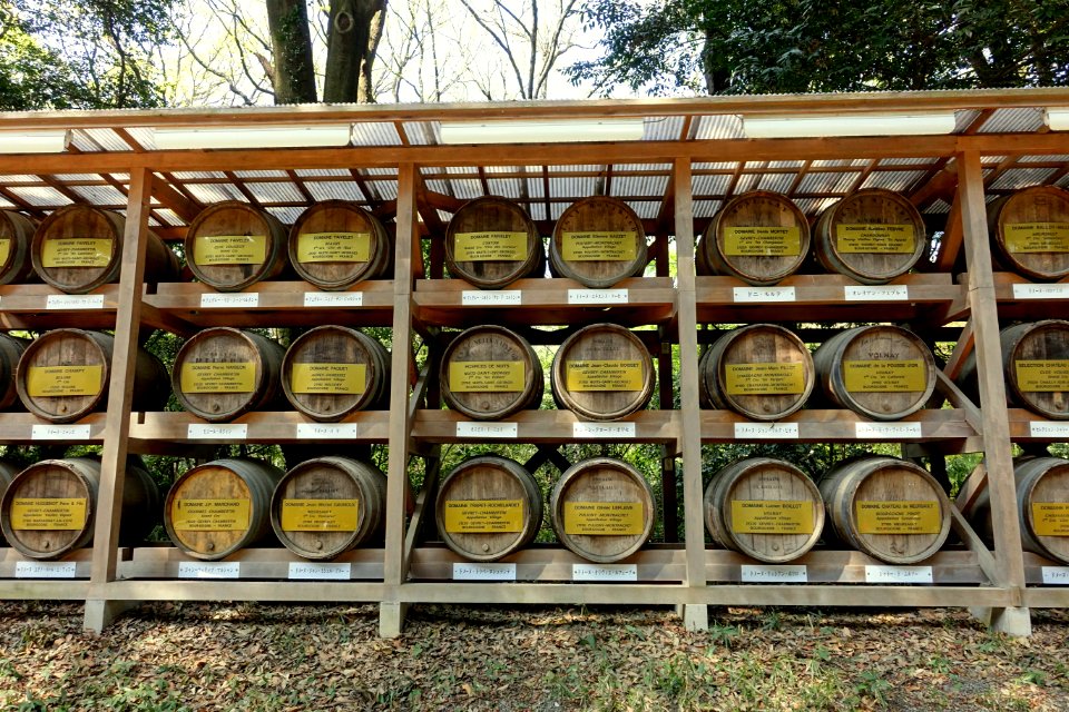 Burgundy wines - Meiji Shrine - Tokyo, Japan - DSC05514