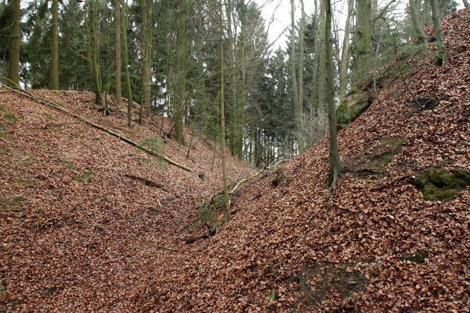 Burgstall Stauf17