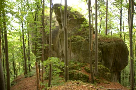 Burgstall Rotenstein02