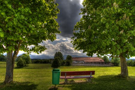 Bank clouds tree