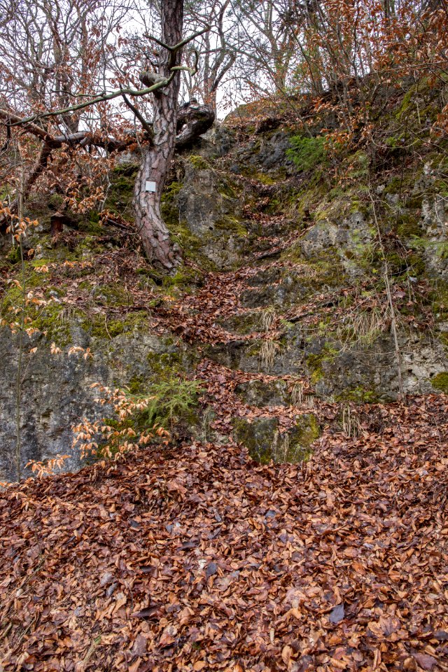 Burgstall Hartenfels 18