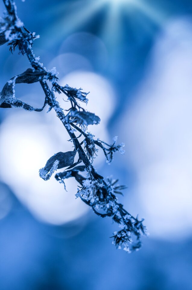 Winter frozen eiskristalle