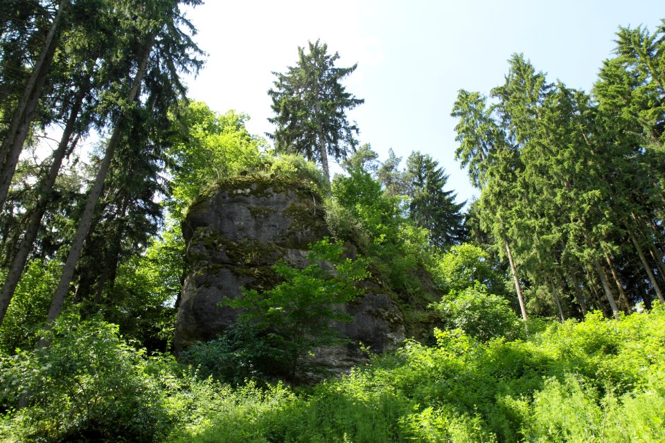 Burgstall Gunzendorf 01