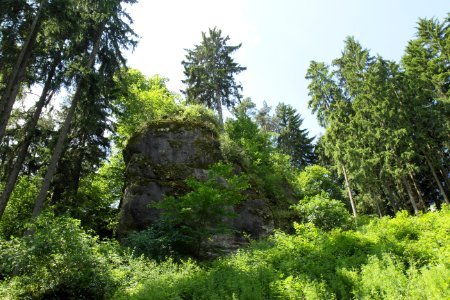 Burgstall Gunzendorf 01