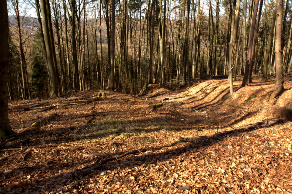 Burgstall Hienberg07