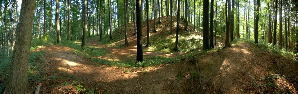 Burgstall Heinrichsbürg06