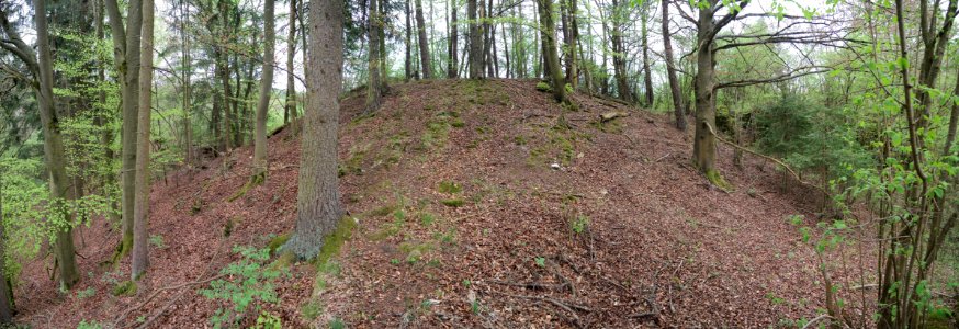 Burgstall Durchelenburg02