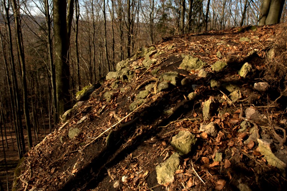 Burgstall Hienberg16