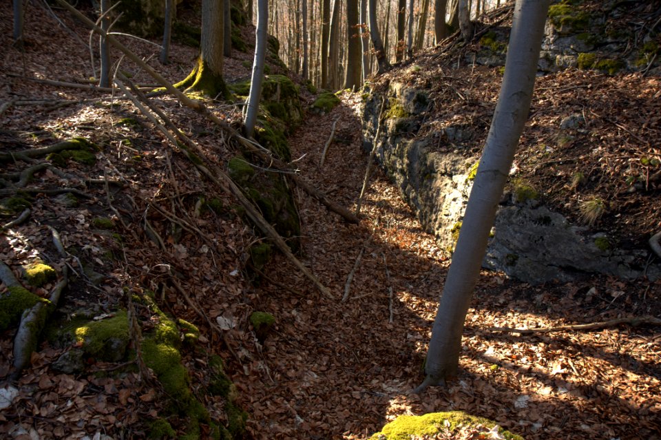 Burgstall Hienberg13