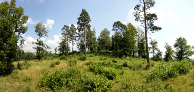 Burgstall Ebermannstadt01