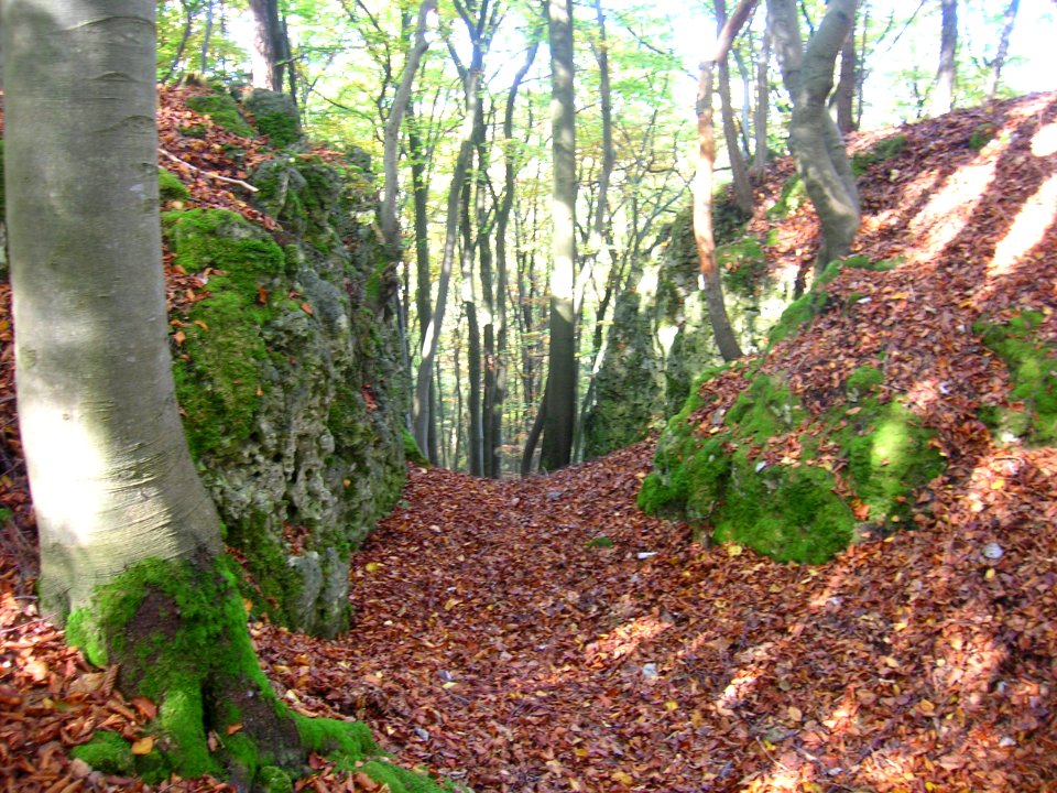 Burgstall auf der Hasenleite01