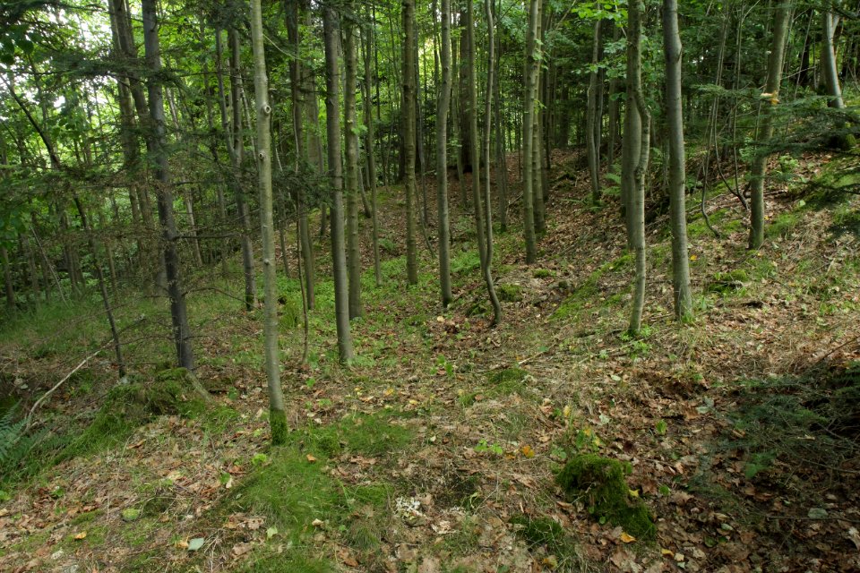 Burgstall Ramberg04