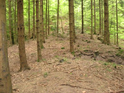 Burgstall Holenstein, Blick auf dem Burghügel nach S