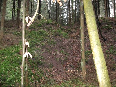 Burgstall Holenstein, einseitige Scharte in der Mitte des Turmhügels, Blick nach E vom Seitentälchen zum Reutebachtal