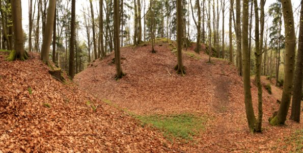Burgstall Scharfenberg06