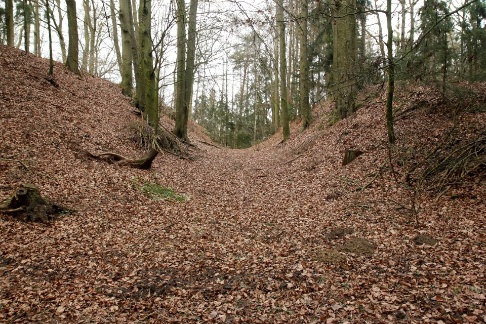 Burgstall Stauf18