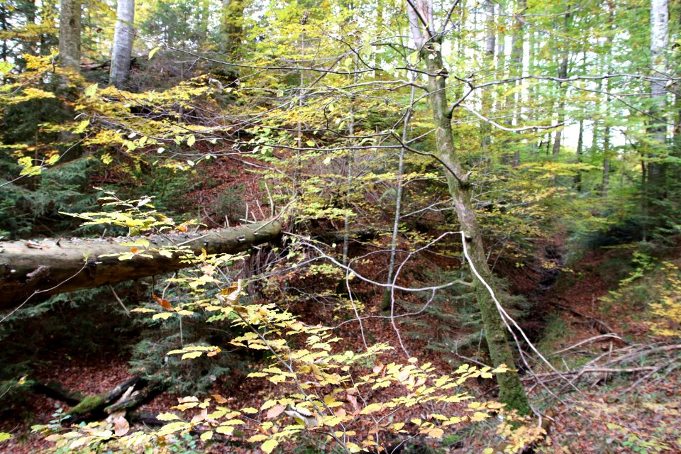 Burgstall schallenkam spitze