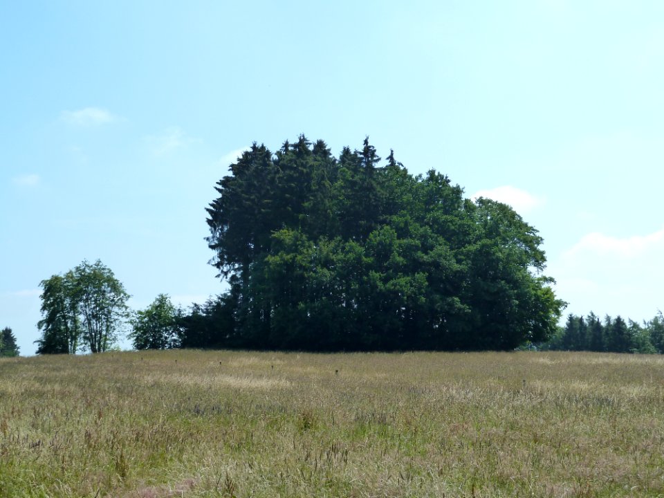 Burg-Reuland-Tumulus van Hochtumsknopf (1)