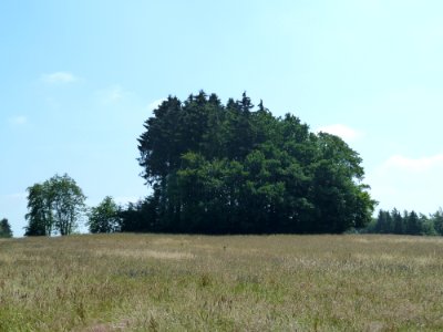 Burg-Reuland-Tumulus van Hochtumsknopf (1)