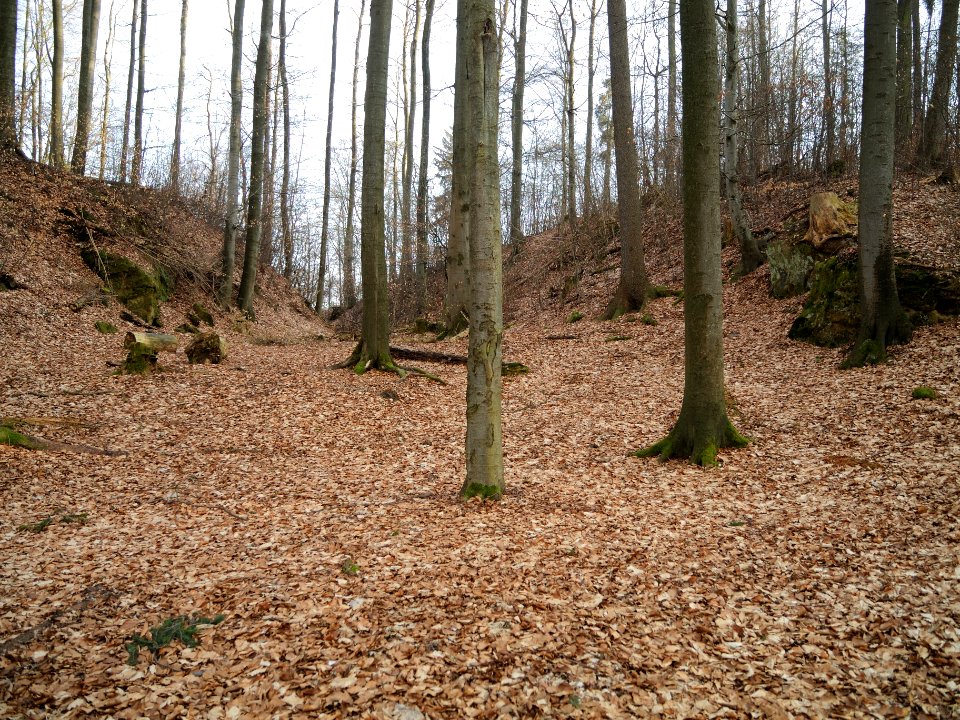 Burgstall Ödes Schloss03