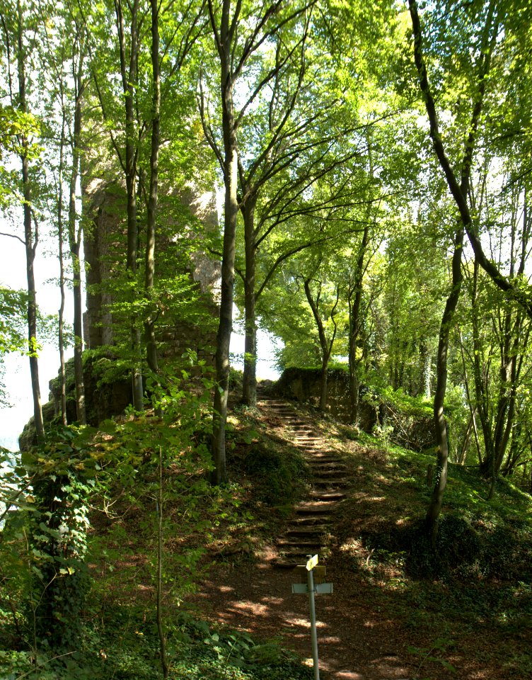 Burgruine Tachenstein05