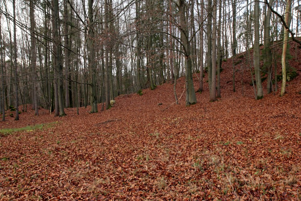 Burgstall Altes Schloss (Affalterthal)14