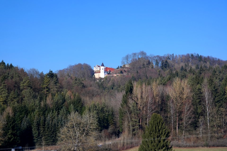 Burgruine Neidenstein 06