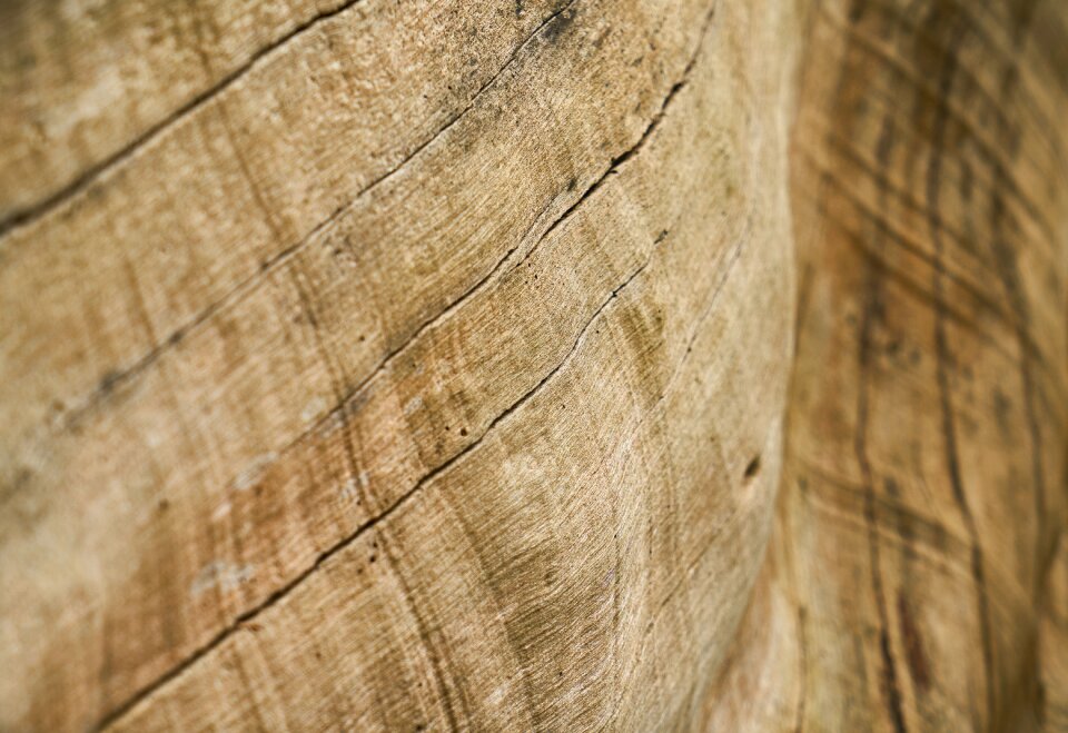 Timber pattern texture