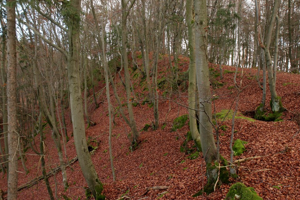 Burgstall Altes Schloss (Affalterthal)07