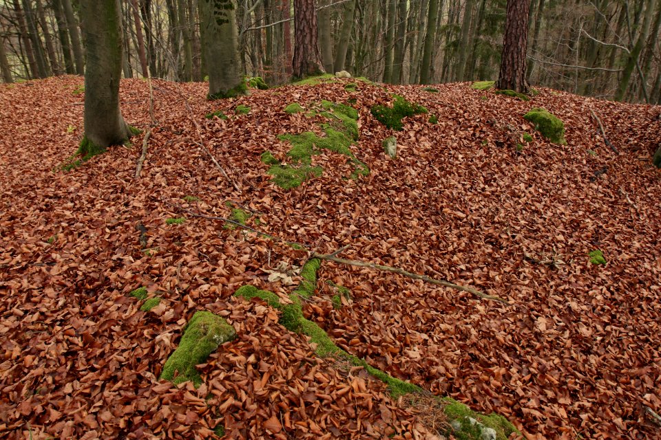 Burgstall Altes Schloss (Affalterthal)17