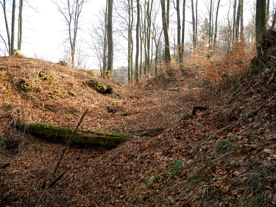 Burgstall Ödes Schloss04