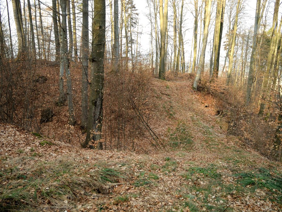 Burgstall Ödes Schloss05