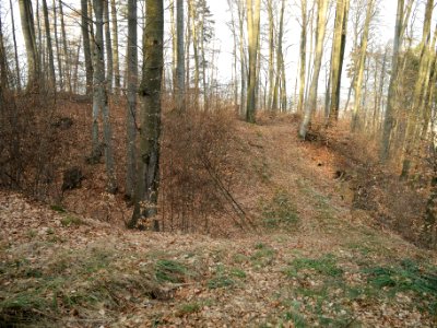 Burgstall Ödes Schloss05