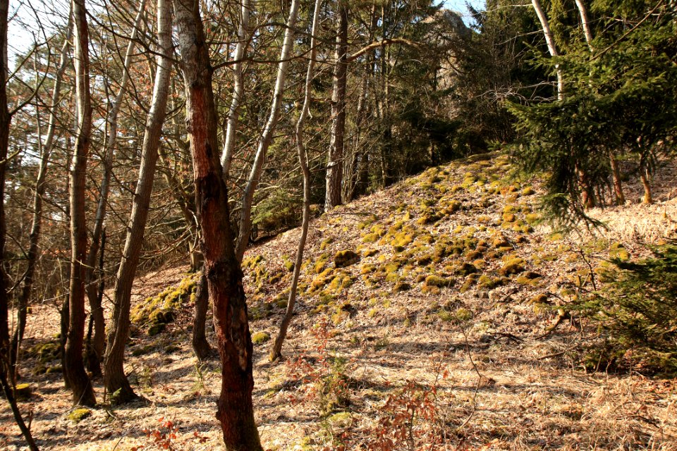 Burgstall Alte Bürg03