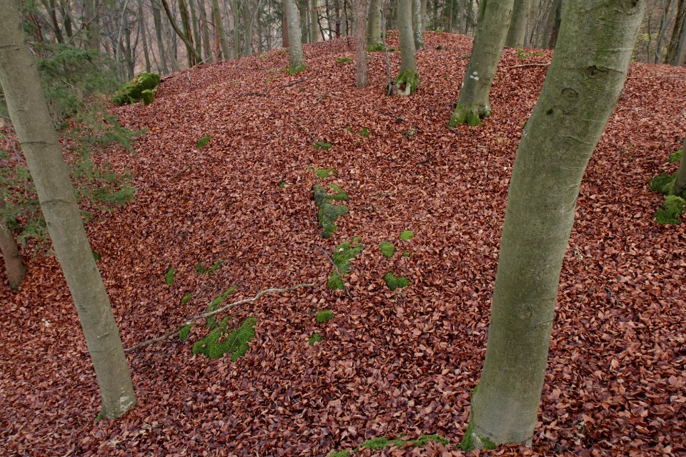 Burgstall Altes Schloss (Affalterthal)20
