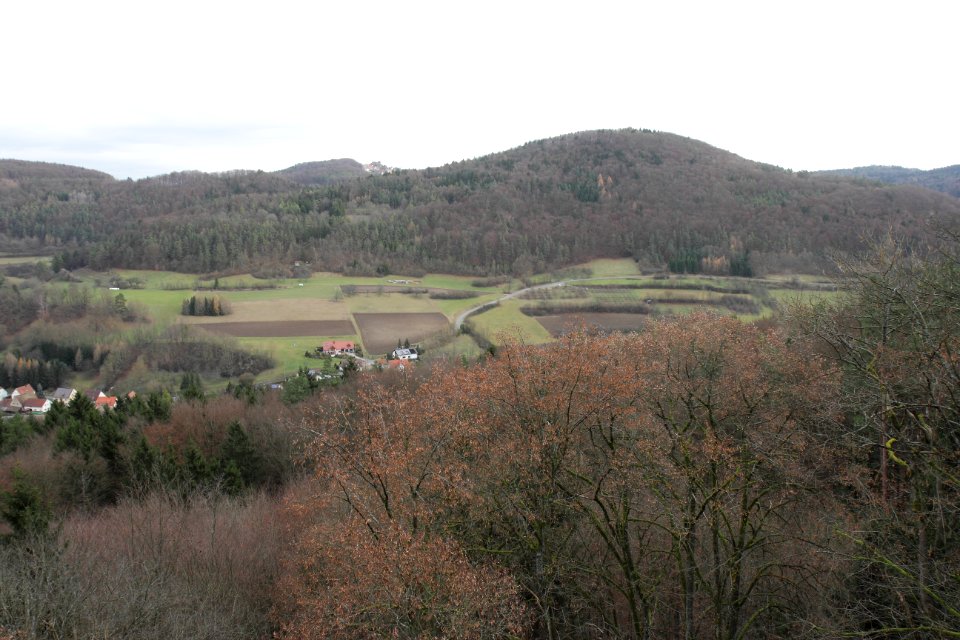 Burgstall Altes Schloss (Oberzaunsbach) 12