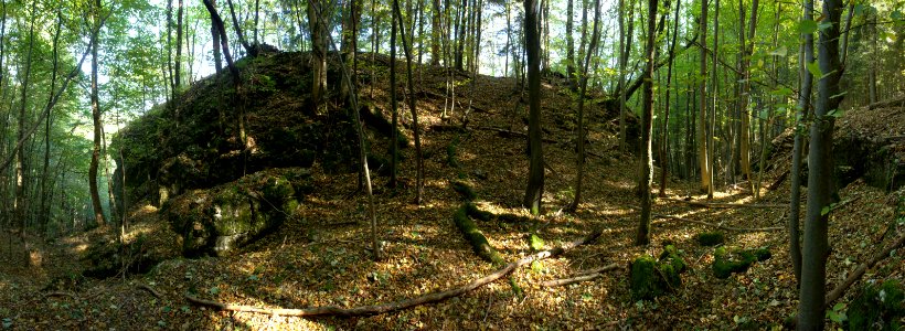 Burgstall Altes Schloss (Oberzaunsbach) 15