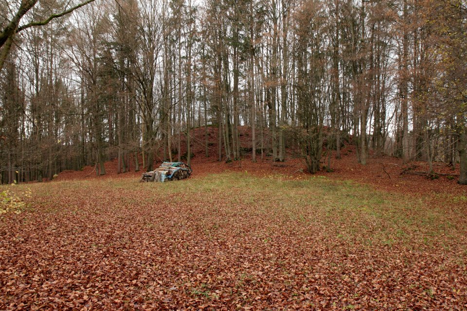 Burgstall Altes Schloss (Affalterthal)02