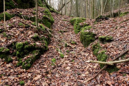 Burgstall Altes Schloss (Oberzaunsbach) 06