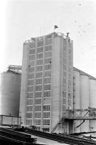 Burgemeester Samkalden opende nieuw gebouw van Cargill Sojabonen Cy te Amsterdam, Bestanddeelnr 921-3813