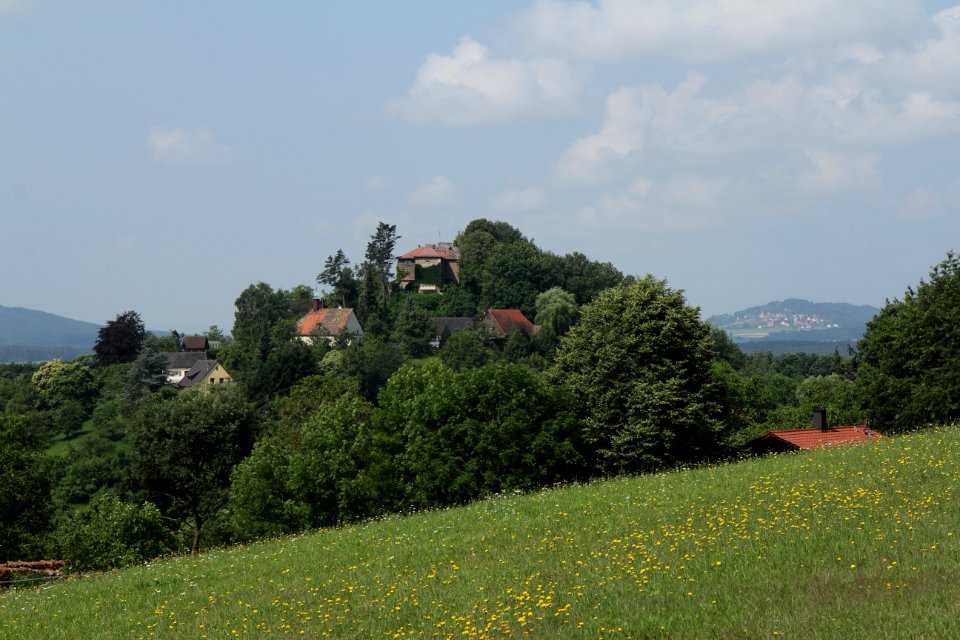 Burgruine Stauf03