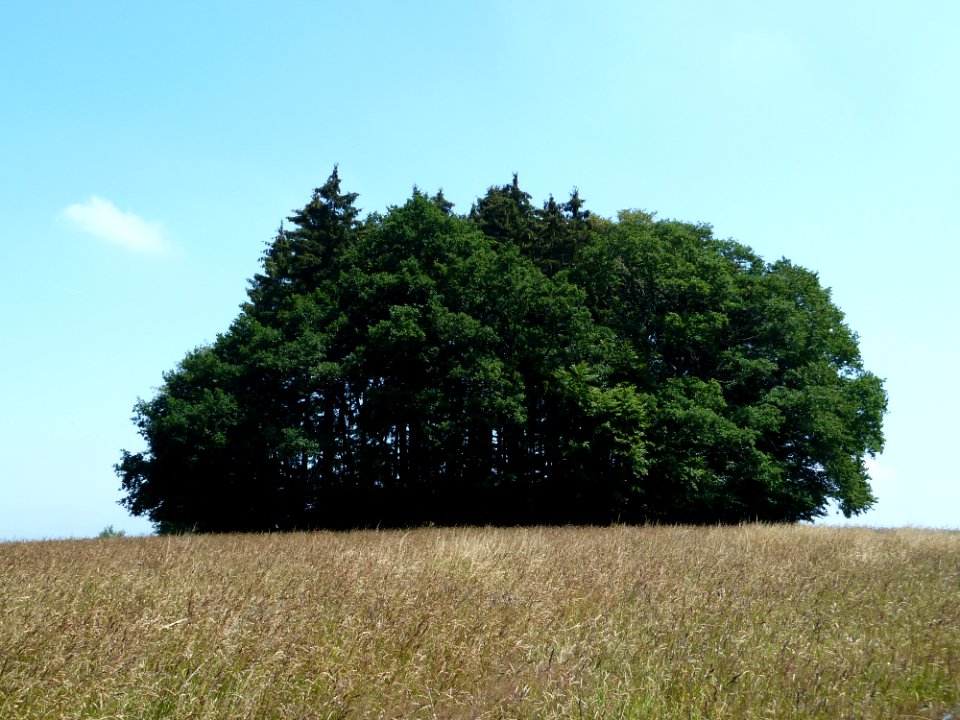 Burg-Reuland-Tumulus van Hochtumsknopf (2)
