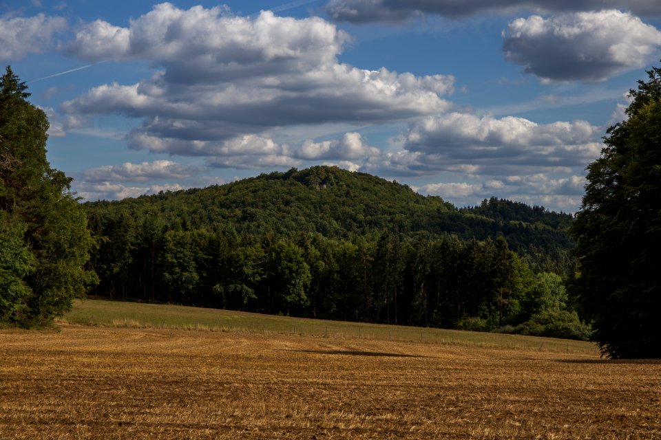 Burgruine Leienfels 003