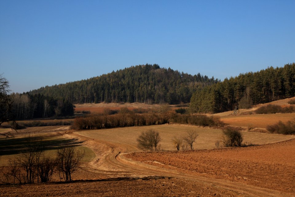 Burgstall Alte Bürg02