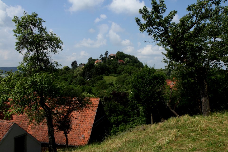 Burgruine Stauf01